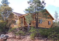 Pine Log Home